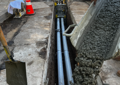 Carmelina Project - 2