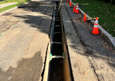 Toluca Estates Project